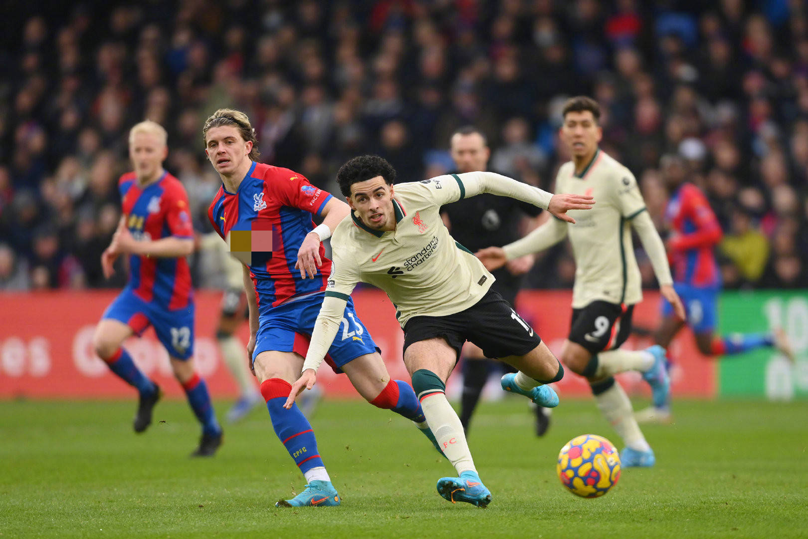 的案例中获 的案例中获